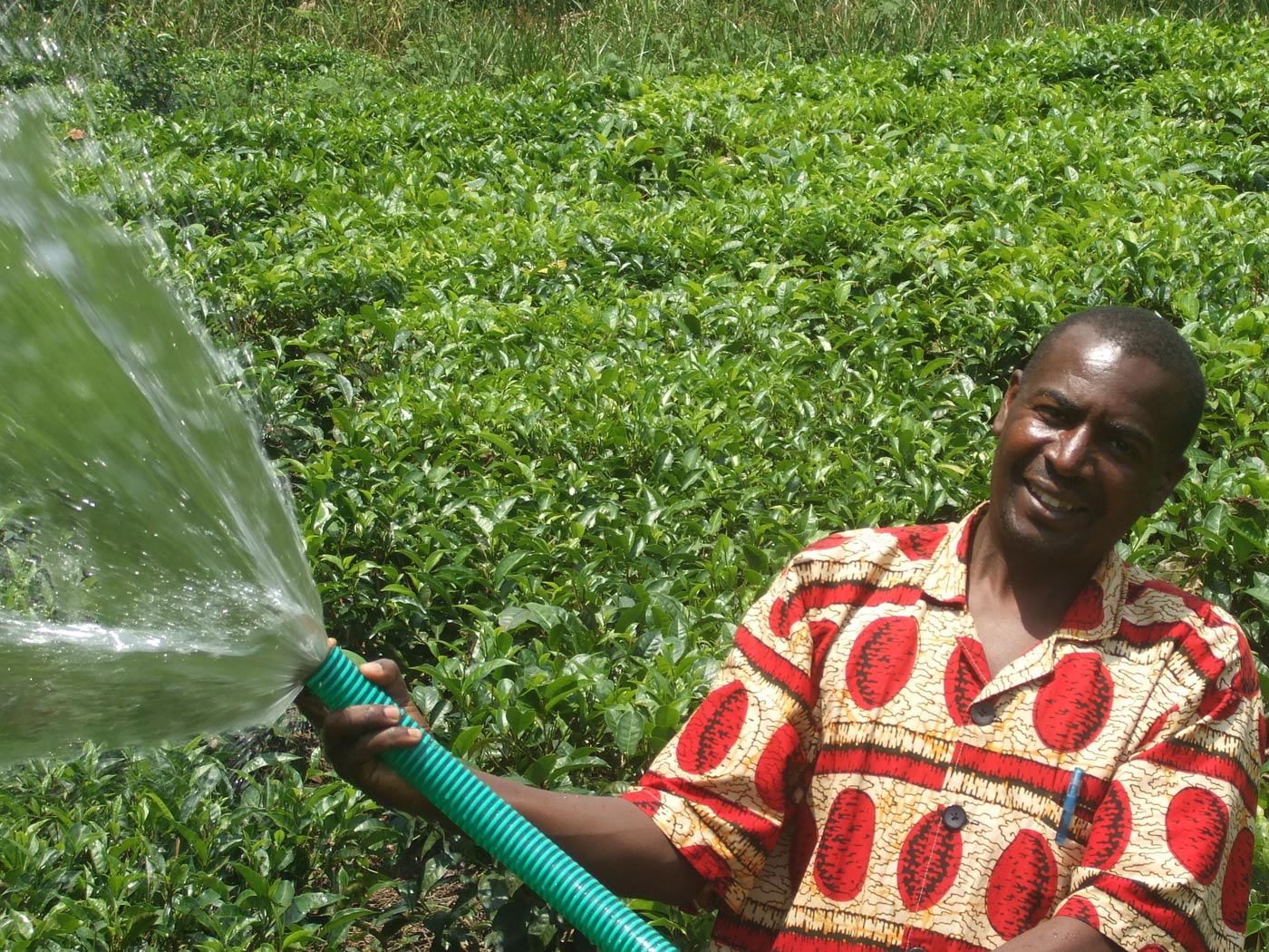 uganda-irrigation